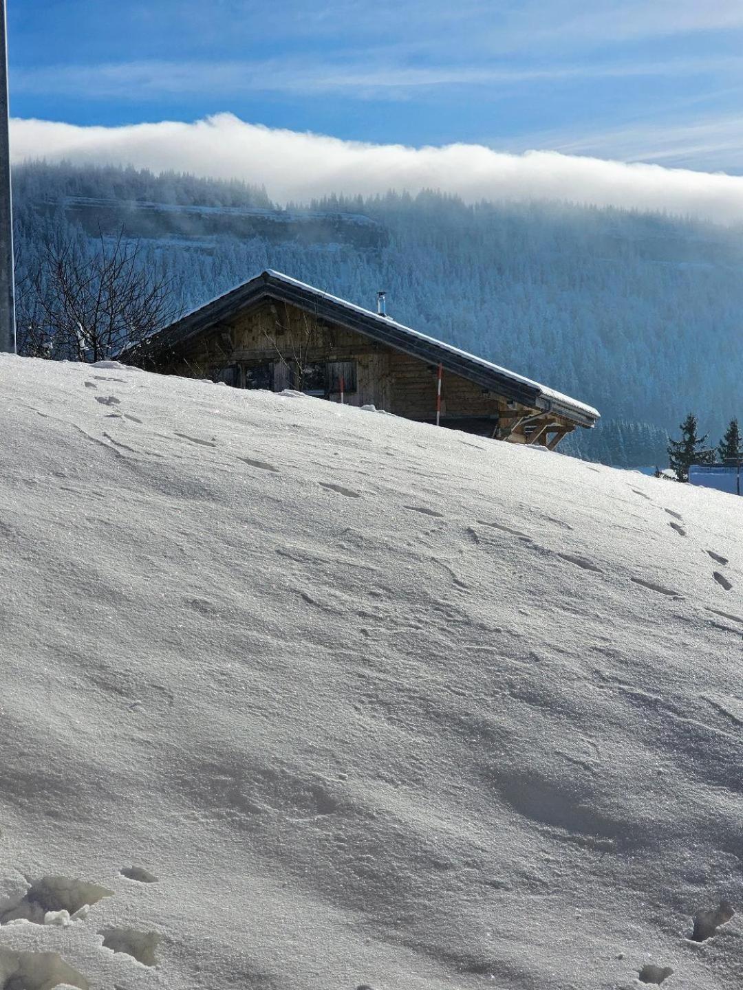 Magnifique Appartement A La Montagne Classe 4 Etoiles Chapelle-des-Bois Exteriör bild